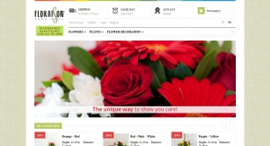  website for online flower e-shop: baby cakes, floral arrangements, flowers - plants, bouquets, bouquets