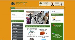 e-shop website for bags and suitcases