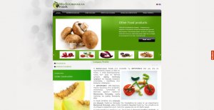 website creation for new and innovative international trader of high quality food and service support